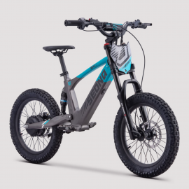 SEDNA SX18 DRAISIENNE ÉLECTRIQUE 